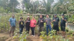 Panen Tanaman Holtikultura di Kopertis