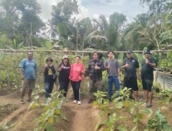 Panen Tanaman Holtikultura di Kopertis