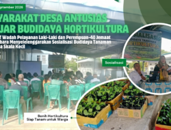 Bethabara Sosialisasi Budidaya Tanaman Hortikultura Skala Kecil